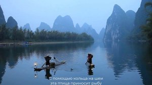 Уникальная традиция Юго-восточной Азии - рыбалка с помощью птиц