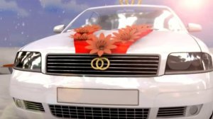 Скачать бесплатно Свадебная заставка для прогулки.avi