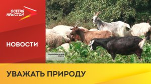 В Северной Осетии выдали больше 3000 разрешений на охоту