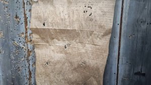 Отстрел после раздушки крюгергана