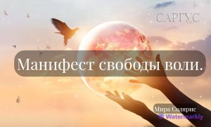 #10 Манифест свободы воли. Мира Солярис.