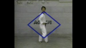 Taekwondo Секреты мастерства 1 часть