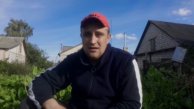 Обязательно сделайте этот КОМПОСТ | Правильный компост смотреть онлайн