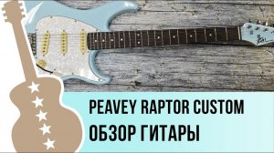 PEAVEY Raptor Custom - обзор гитары