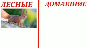 Семейный клуб "Кораблик" I Квест для детей