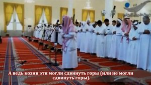Прекрасное чтение Корана Набиль аль-Авади