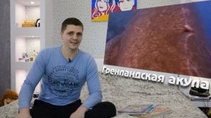 Гренландская акула. Сколько живет?