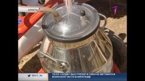 В Казахстане вывели идеальный тип лошади для приготовления казы