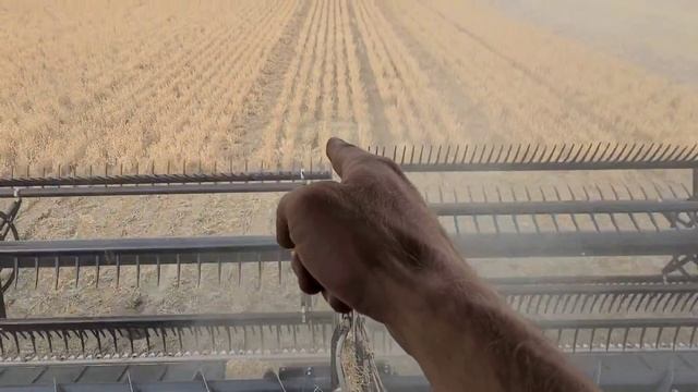 Ideal 10 in the field смотреть онлайн