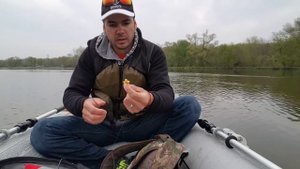 Ловля дикого карпа(сазана) на кукурузу весной на бутылку