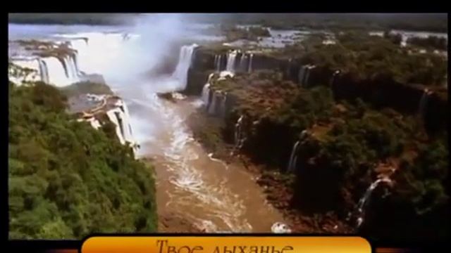 +Ты свет душе моей смотреть онлайн