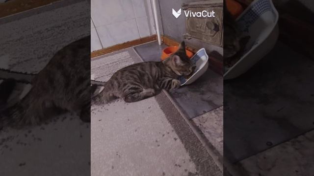 Изя смотреть онлайн