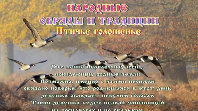 Ефимия или Птичья костка  ?  29 сентября  ? #православие #народныйпраздник #житиясвятых