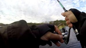 Народный спиннинг для твичинга. Maximus Black Side New 18ML