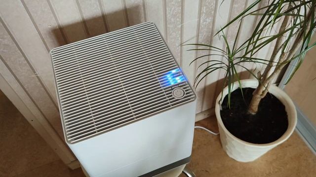 Увлажнитель воздуха Stadler Form Oskar O-020. Отзыв обычного пользователя. Впечатления. смотреть онлайн