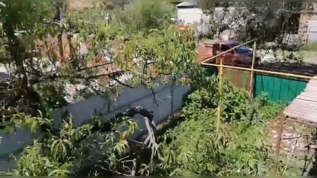 Переезд на ПМЖ в Краснодарский край, ст Каневская, Переезд на Юг смотреть онлайн