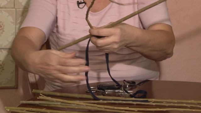 Голова садовая - Выращиваем яблоню из черенка