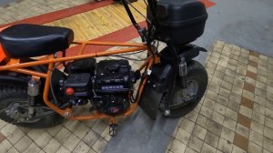 Скаут сафари 3. Мои дороботки