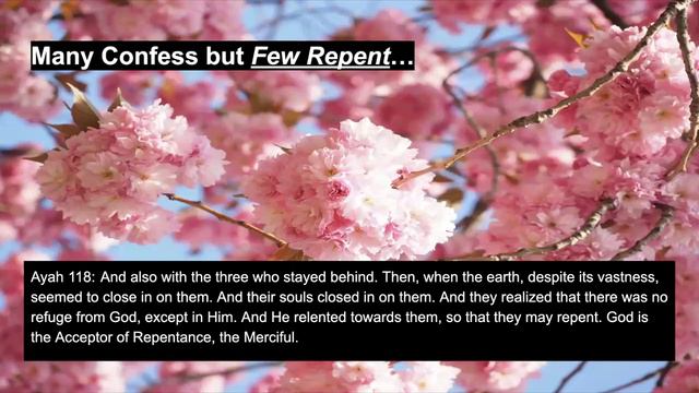 Ramadan Series 2024 (Juzz 11) (Click on the link for a Quiz) смотреть онлайн