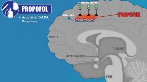 EEG for Anesthesiology - Part 3: Propofol