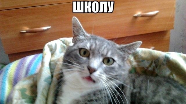 Как выучить стих за 5 минут