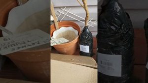 Отзыв об "Агромаркет 24".