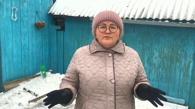 Укрытие роз на зиму снегом: подготовка к зимовке в условиях Сибири