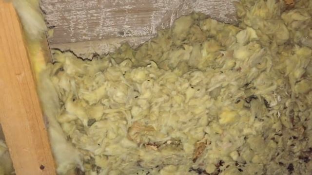 Утепление стекловатой 12 лет спустя. Вскрытие стен . смотреть онлайн