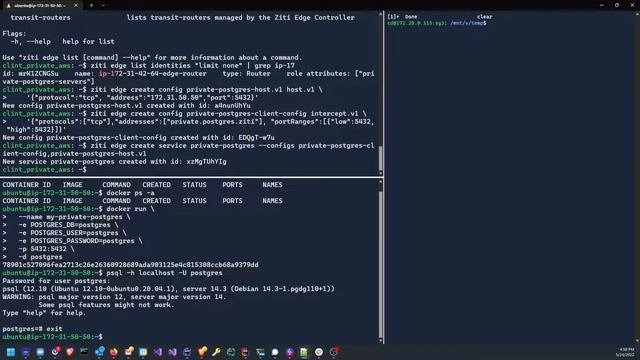 Totally Private Postgres смотреть онлайн
