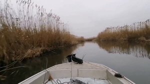 Вельбот 330.Несколько минут экстрима.