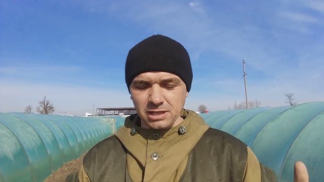 Система удобрений NPK, что важно знать в правильном кормлении клубники смотреть онлайн