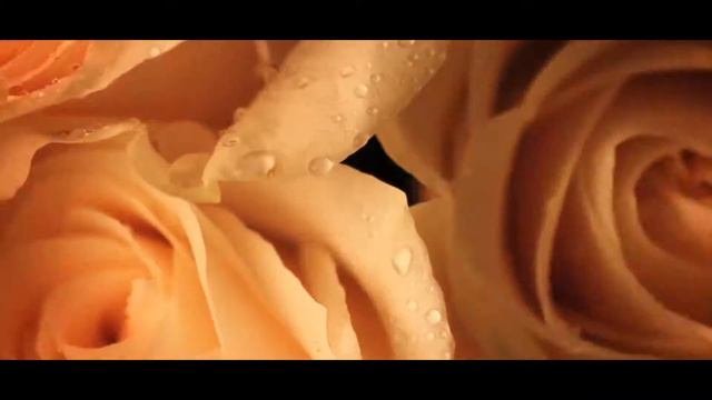 Сборник клипов – Музыкальные  клипы Evro Hit !!!Русская и Иностранная музыка!!! #Music_Pop!!!