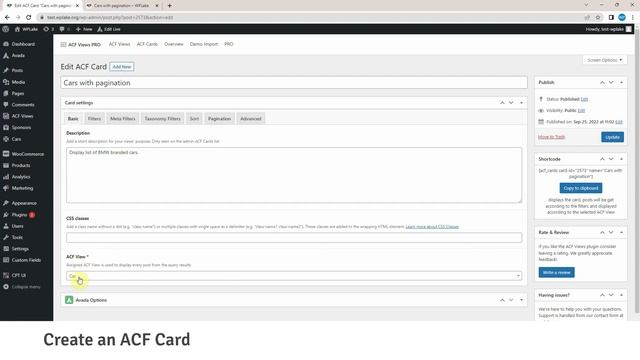 Tutorial (PRO) : How to display posts with Pagination