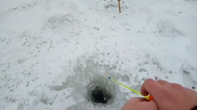 ЗИМНЯЯ РЫБАЛКА! ОКУНЬ,ПЛОТВА,СОЛНЕЧНЫЙ ОКУНЬ. смотреть онлайн