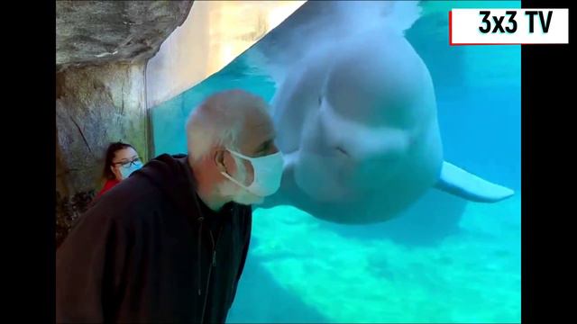 Подборка до слёз смотреть онлайн