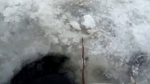 Хороший клев в Лопотово