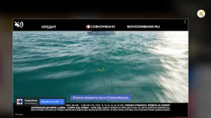 Как я шлёпнул 300 тараканов