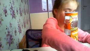 Органайзер из упаковки принглс