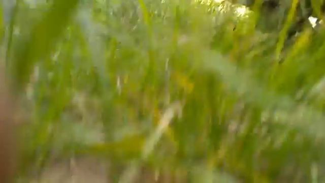 валы нуждин 10,05 , резонатор газель, паук - стингер спорт, ресивер - стингер, конечная банка сток смотреть онлайн