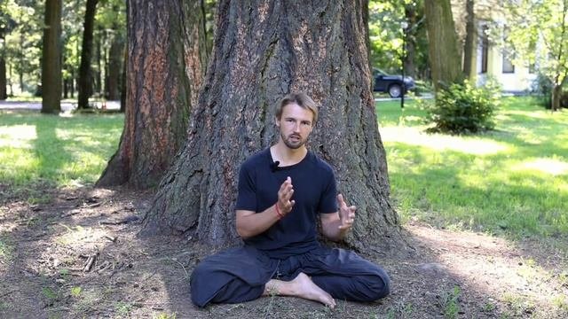 Запуск проекта последователей Садхгуру SADHA и Фестиваль Иша Хатха Йоги в Москве 9 сентября