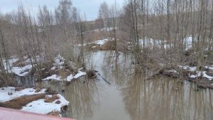 Рязанской амазонки плавает Анаконда