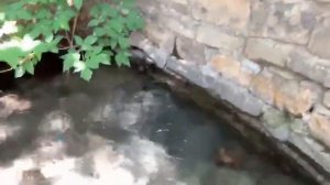 Природный родник Карабастау