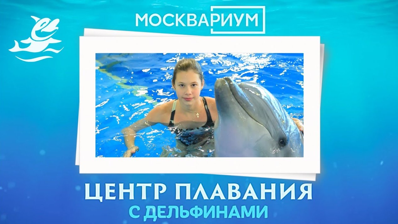 Победитель ВД-2021 Виктория Шкаренкова. Плавание с дельфинами