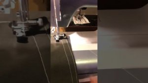 Bernina Bernette 66