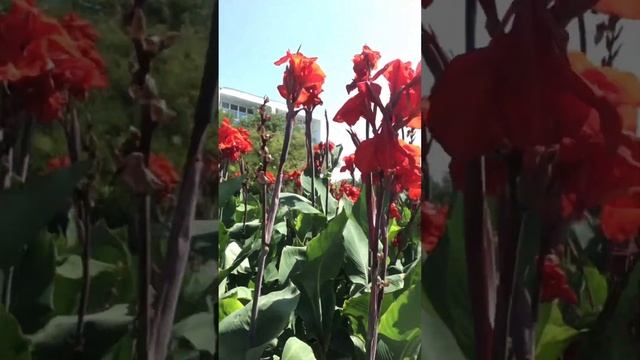 Крым г. Саки санаторий Полтава Крым смотреть онлайн