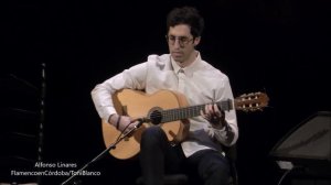 Alfonso Linares, XXIII Concurso Nacional de Arte Flamenco, Córdoba