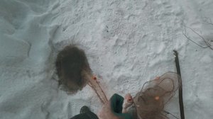 Рыбачим на омутах  жарим рыбу