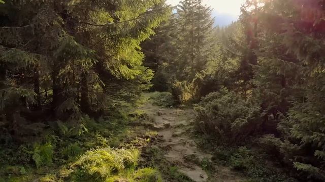 Норвежская прогулка!|Творческие истории| Мистические истории| Деревенские истории смотреть онлайн