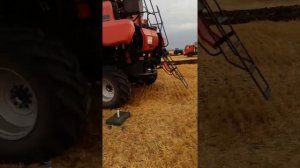 РЕМОНТ КОМБАЙНА КЕЙС В ПОЛЕВЫХ УСЛОВИЯХ