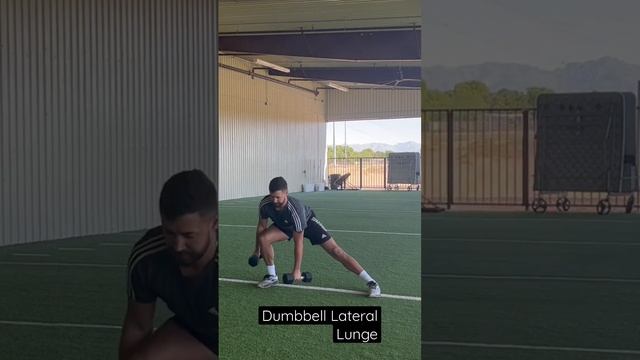 Dumbbell Lateral Lunge смотреть онлайн